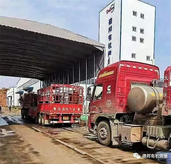 中国电子游艺网站下载安装
