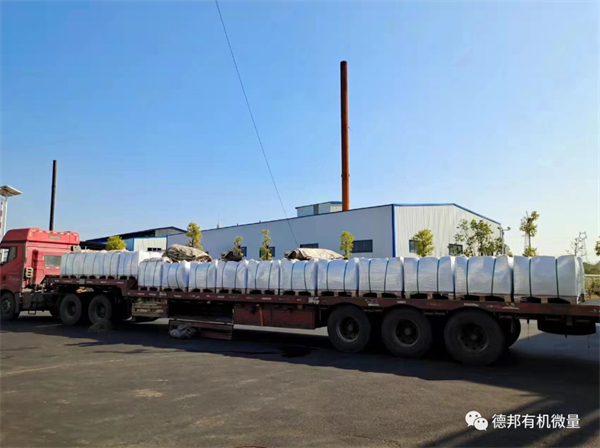中国电子游艺网站下载安装
