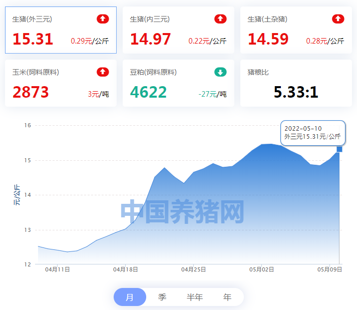 中国电子游艺网站下载安装