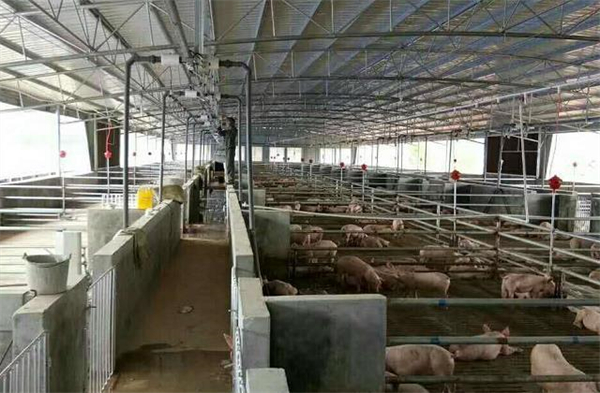 中国电子游艺网站下载安装
