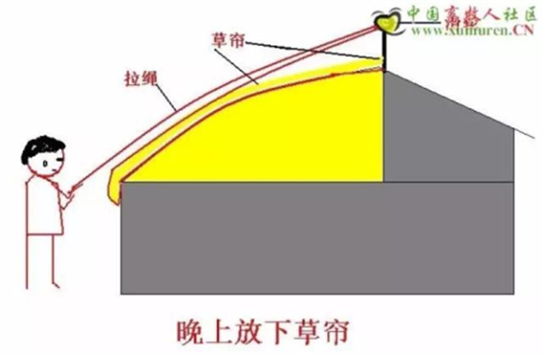 中国电子游艺网站下载安装
