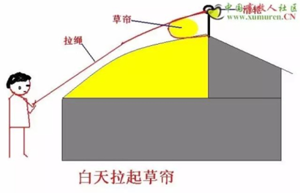 中国电子游艺网站下载安装

