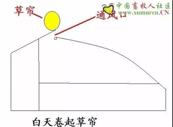 中国电子游艺网站下载安装
