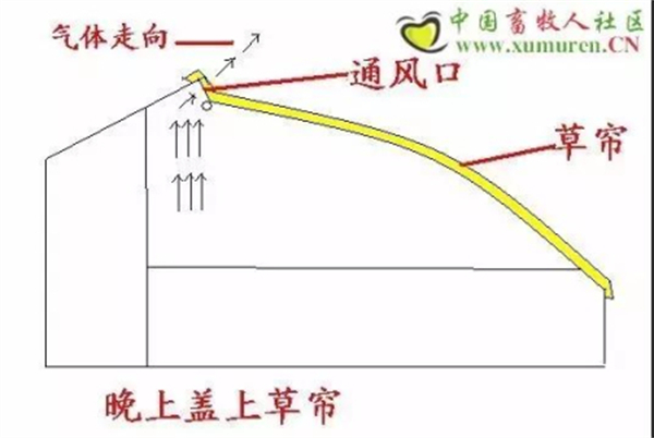 中国电子游艺网站下载安装
