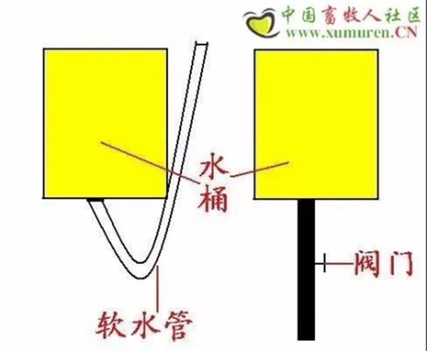 中国电子游艺网站下载安装
