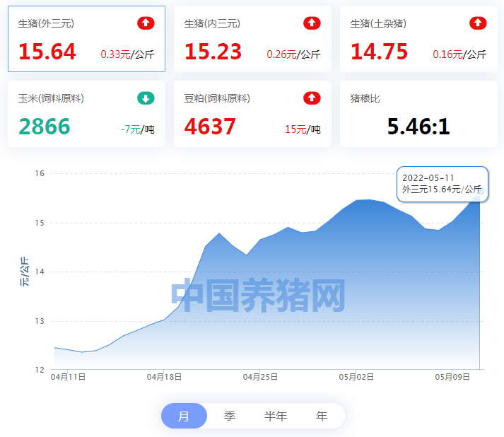 中国电子游艺网站下载安装