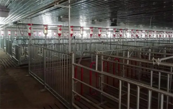 对于规模化电子游艺网站
的建设，需要注意哪些点？