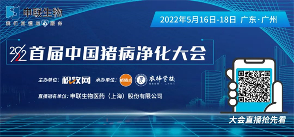中国电子游艺网站下载安装
