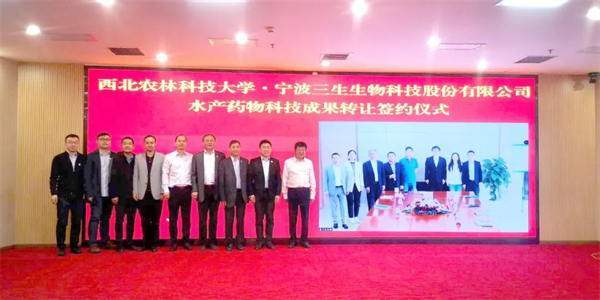 中国电子游艺网站下载安装
