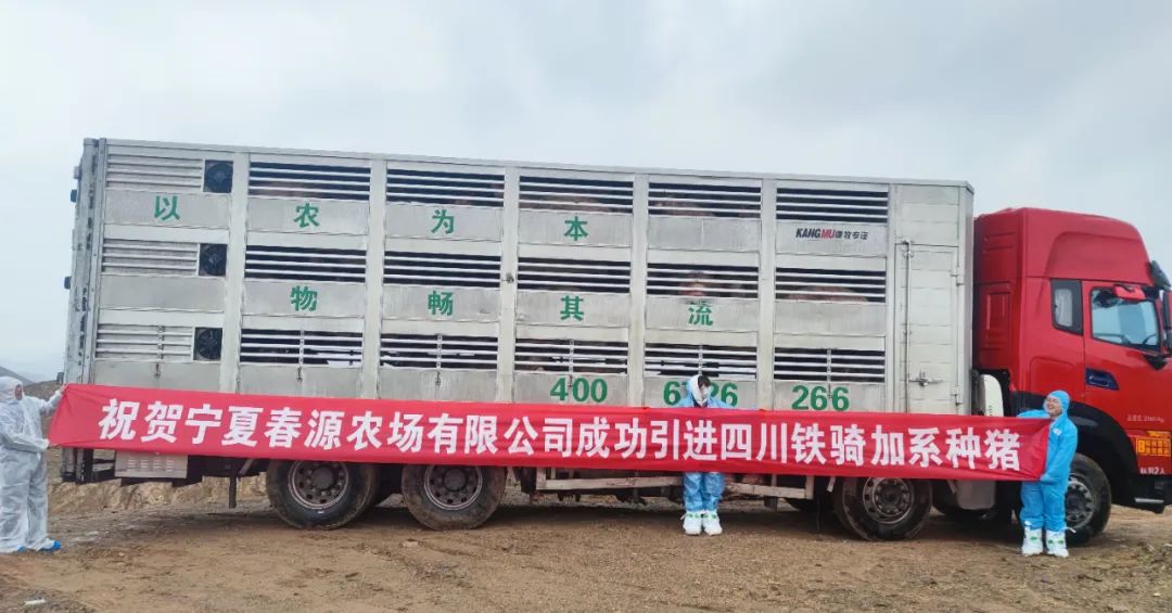 铁骑种猪进宁夏——中宁县春源农场有限公司朱文博专访记