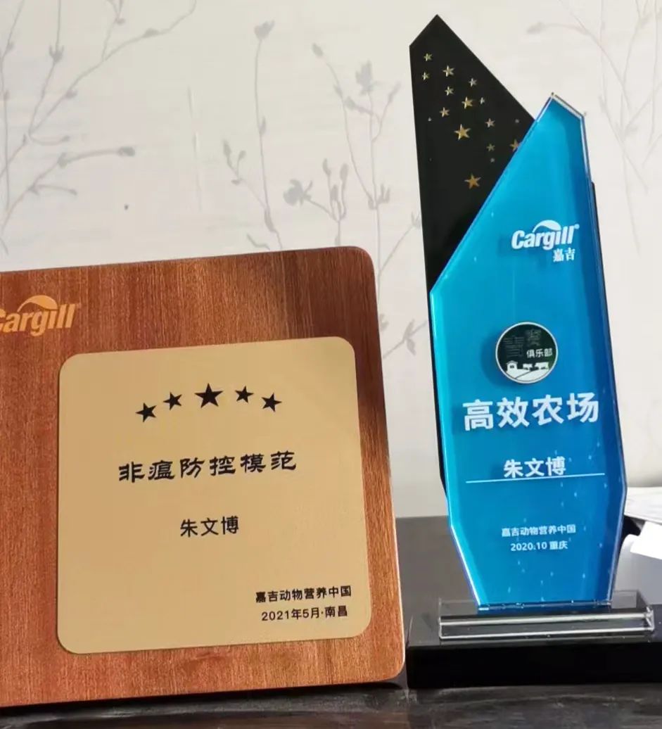 中国电子游艺网站下载安装
