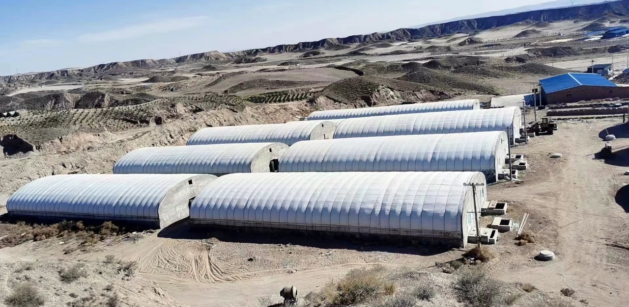 中国电子游艺网站下载安装
