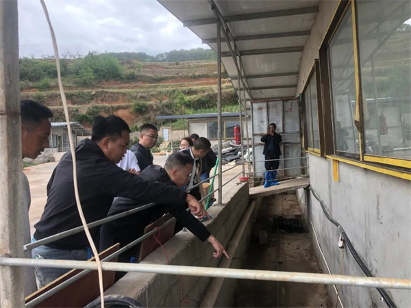 中国电子游艺网站下载安装
