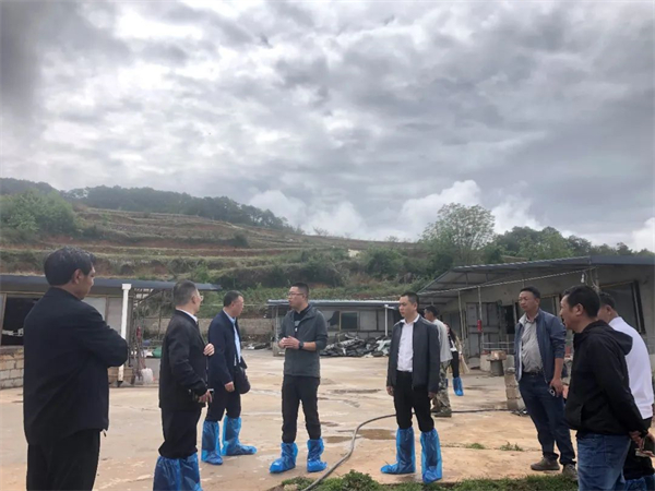 中国电子游艺网站下载安装
