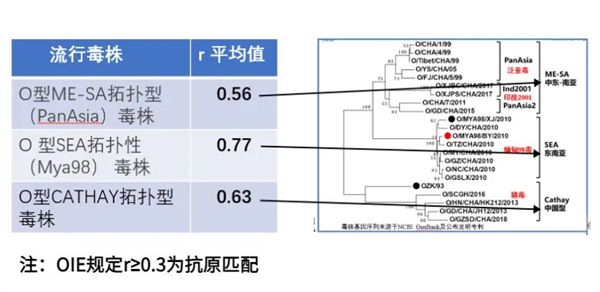 中国电子游艺网站下载安装
