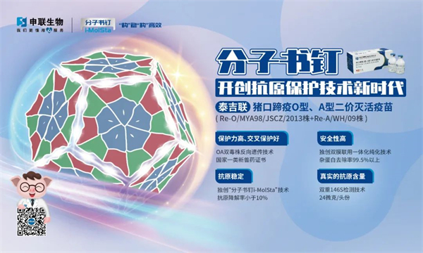 中国电子游艺网站下载安装
