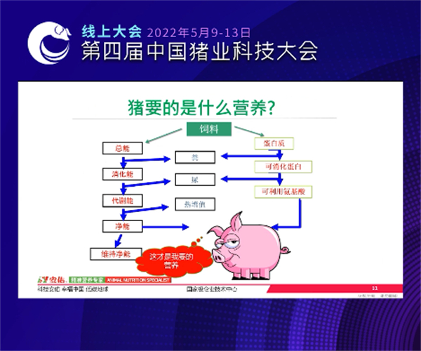中国电子游艺网站下载安装

