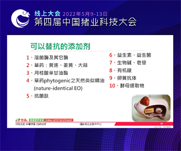 中国电子游艺网站下载安装
