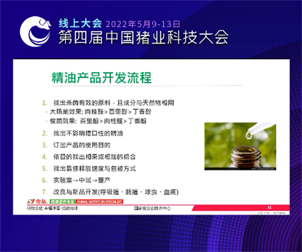 中国电子游艺网站下载安装
