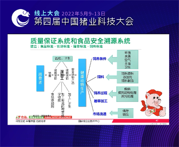 中国电子游艺网站下载安装
