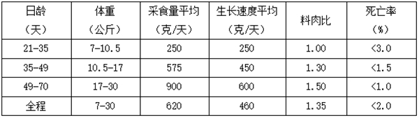 中国电子游艺网站下载安装
