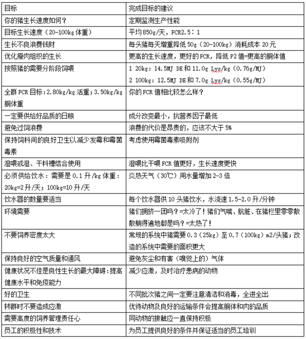 中国电子游艺网站下载安装
