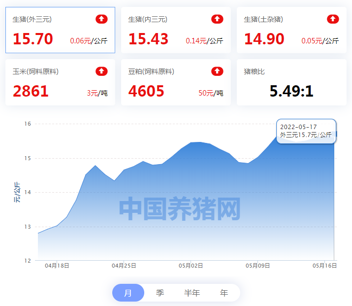 中国电子游艺网站下载安装