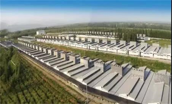 中国电子游艺网站下载安装
