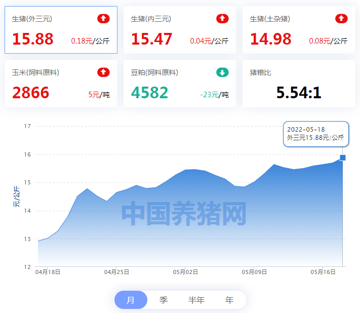 中国电子游艺网站下载安装