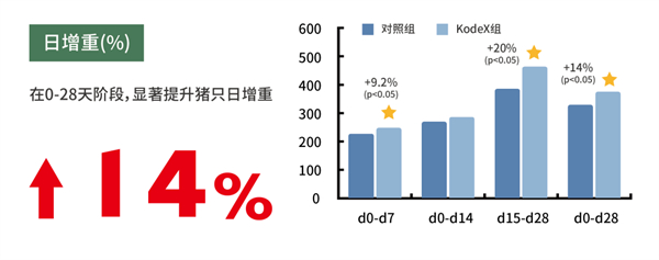 中国电子游艺网站下载安装
