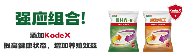 中国电子游艺网站下载安装
