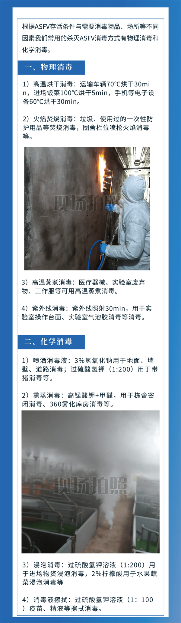 中国电子游艺网站下载安装

