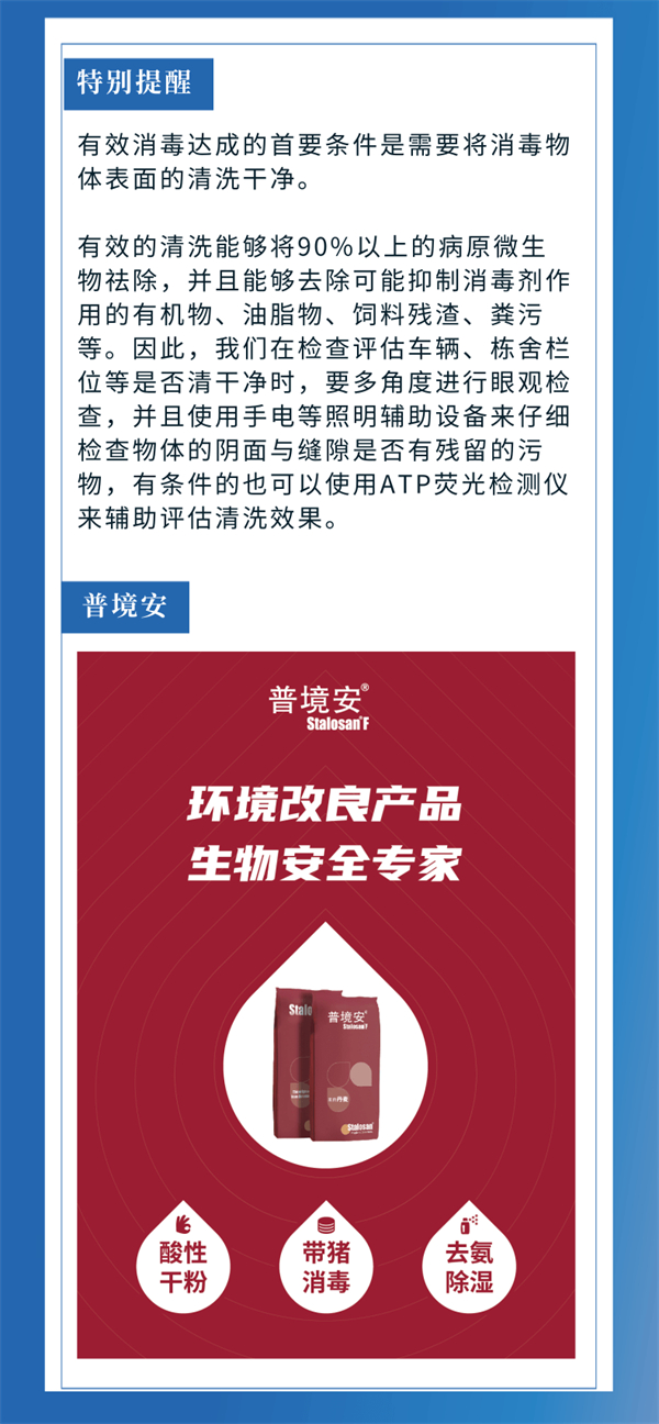 中国电子游艺网站下载安装
