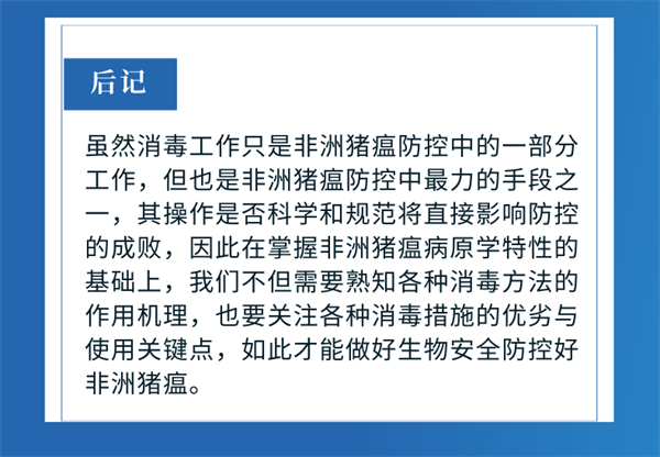 中国电子游艺网站下载安装
