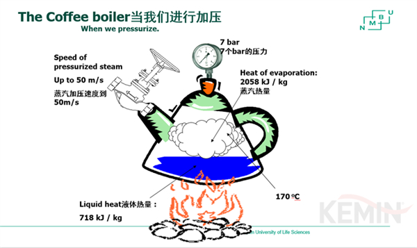 中国电子游艺网站下载安装