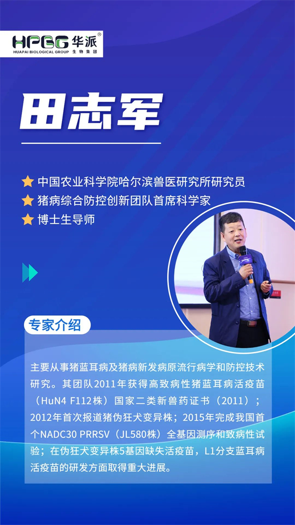 中国电子游艺网站下载安装
