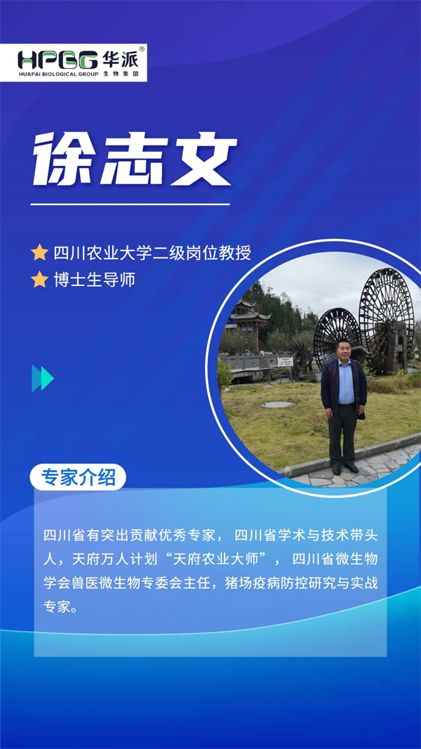中国电子游艺网站下载安装
