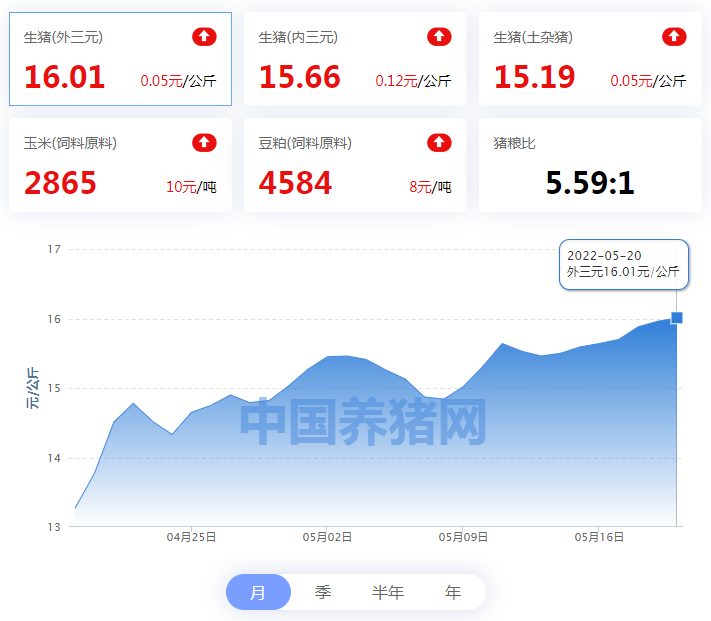 中国电子游艺网站下载安装