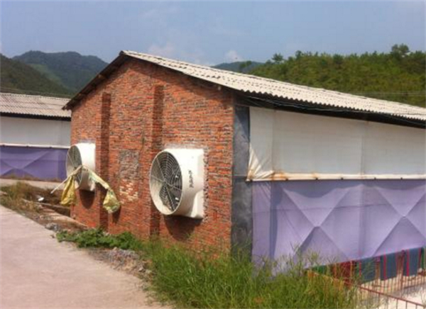 电子游艺网站
通风降温设备一览，建议收藏！