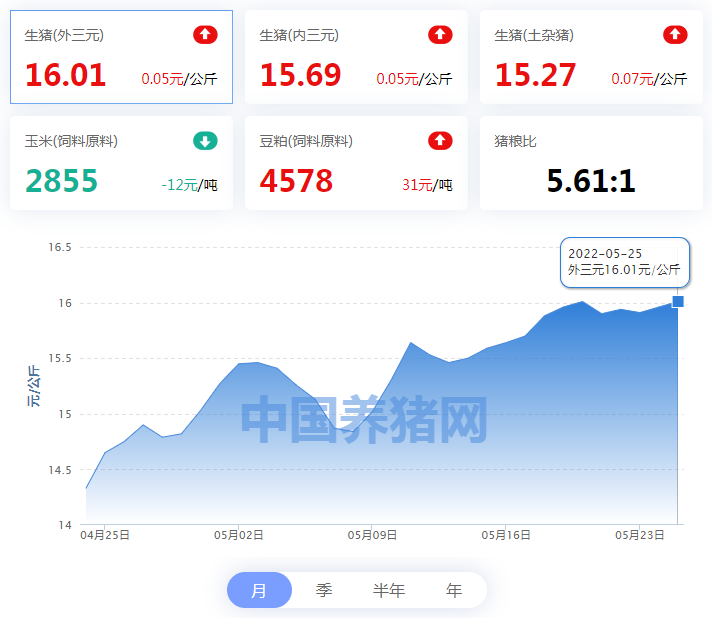 中国电子游艺网站下载安装