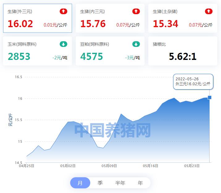 中国电子游艺网站下载安装