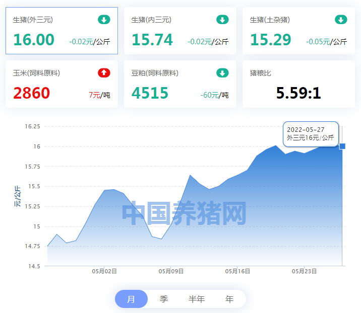 中国电子游艺网站下载安装
