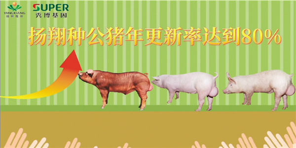 淘汰率高达80%！在扬翔电子游艺网站
上班可太卷了