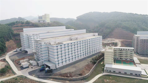 中国电子游艺网站下载安装
