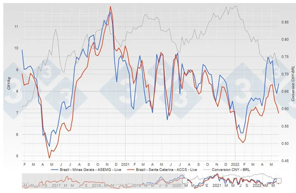 中国电子游艺网站下载安装