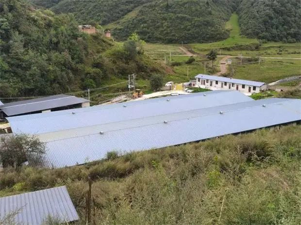 中国电子游艺网站下载安装
