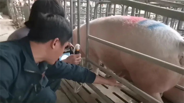 中国电子游艺网站下载安装
