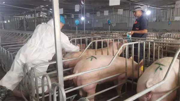 中国电子游艺网站下载安装
