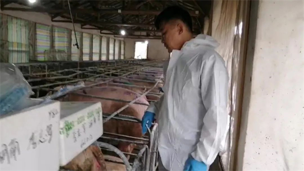 中国电子游艺网站下载安装
