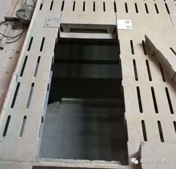 中国电子游艺网站下载安装
